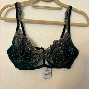 Elegant Lace Trim Bra in Green
